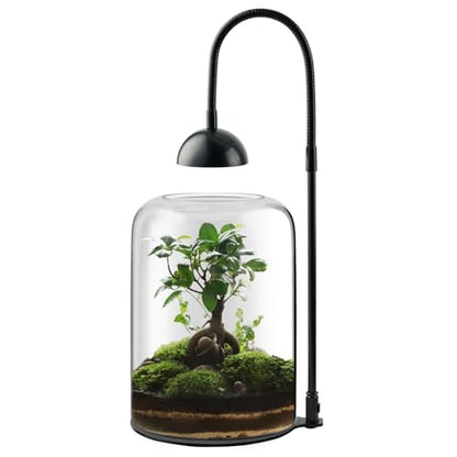 Glass Plant Terrarium with LED Grow Light, Adjustable Ventilation Desktop Indoor Planter for Venus Fly Trap, Moss & Succulents, 8.2" Borosilicate Mini Greenhouse for Home Office Decor