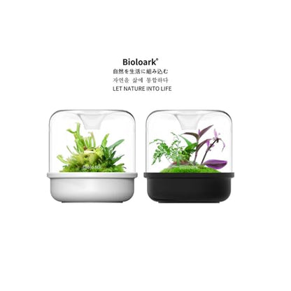 Bioloark MY-150K Glass Plant Terrarium with Ceramic Base, 6.4” x 6.7” Black, Moss Terrarium Container with Clear Glass Cover, Ventilation Holes, Moisture Cycle Lid for Ferns, Succulents & Small Plants - color: MY-150K (6.4 "X6.7")Black