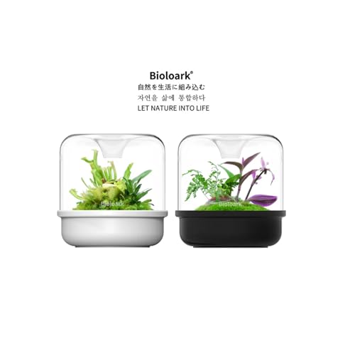 Bioloark MY-150K Glass Plant Terrarium with Ceramic Base, 6.4” x 6.7” White, Moss Terrarium Container with Clear Glass Cover, Ventilation Holes, Moisture Cycle Lid for Ferns, Succulents & Small Plants - color: MY-150K (6.4 "X6.7")White