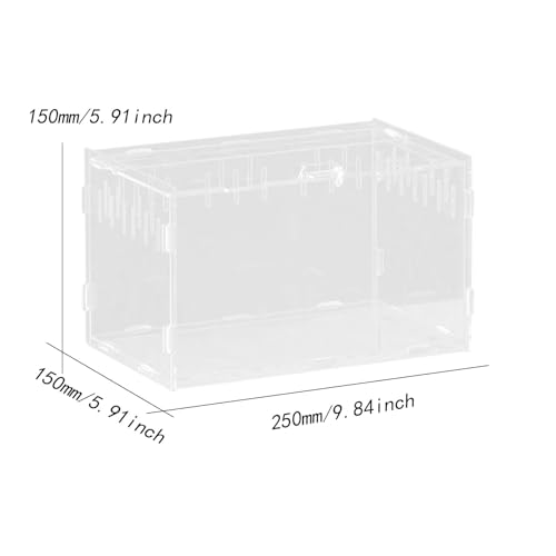 Reptile Breeding Box Acrylic Terrarium Container with Ventilation Holes for Snakes Turtles Chameleons Frogs Geckos Small Animal Habitat- 25x15x15cm