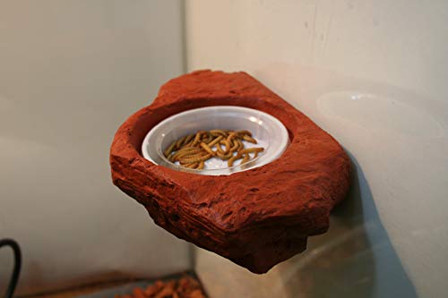 Small Worm Feeder Ledge Mojave Red - Magnetic Decor