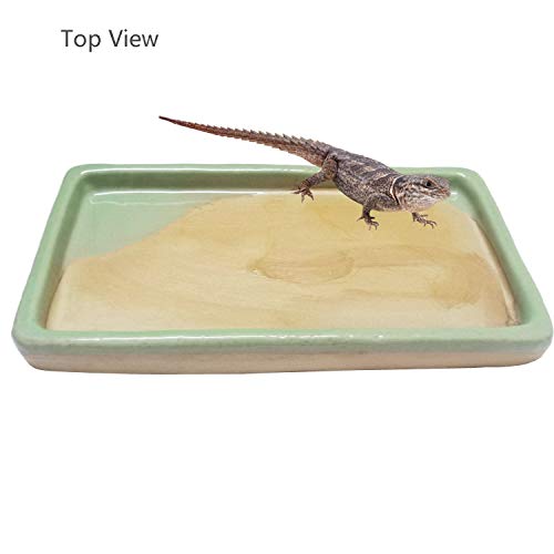 Reptile Feeding Dish Bowl Food and Water Bowl Tortoise Dish Reptile Tank Decor, Heavy Duty Ceramic Feeding Dish, Large Size