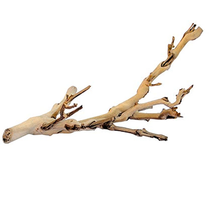 Exo Terra Forest Branch Small – Natural Wood Terrarium Decoration for Reptiles, Amphibians & Small Pets - size: Small