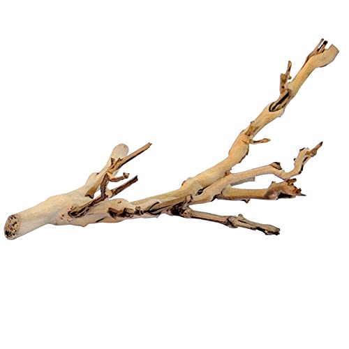 Exo Terra Forest Branch Small – Natural Wood Terrarium Decoration for Reptiles, Amphibians & Small Pets - size: Small