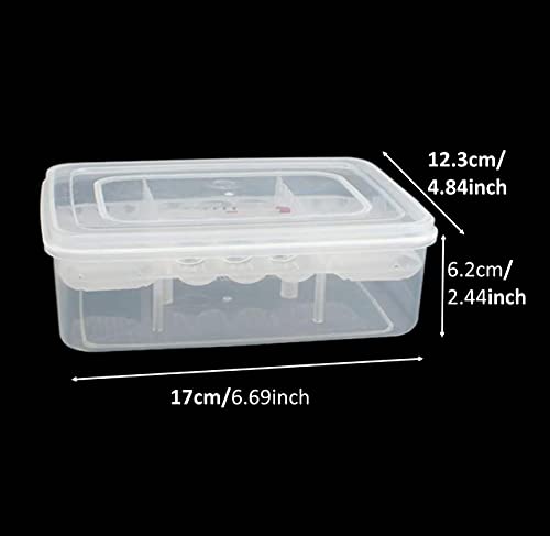 16 Grids Snakes Gecko Lizards Reptiles Eggs Incubator Tray Hatcher Box for Hatching Snake Lizards Frogs Turtle