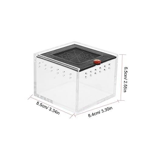 POPETPOP Clear Viewing Reptile Storage Box with Ventilated Acrylic Panel Feeding Habitat for Lizards Snakes Tarantulas and Other Reptiles