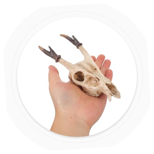 COLLBATH Realistic Resin Reptile Skull Hideout for Turtle Snake Lizard Habitats Spacious Hiding Cave for Bearded Dragons and Frogs Authentic Terrarium Decoration Versatile Fish Tank