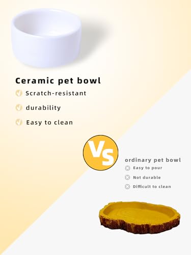 6 Pcs Spider Micro Ceramic Water Bowl, Mini Pet Dish for Spider (1 oz) - size: 1 oz