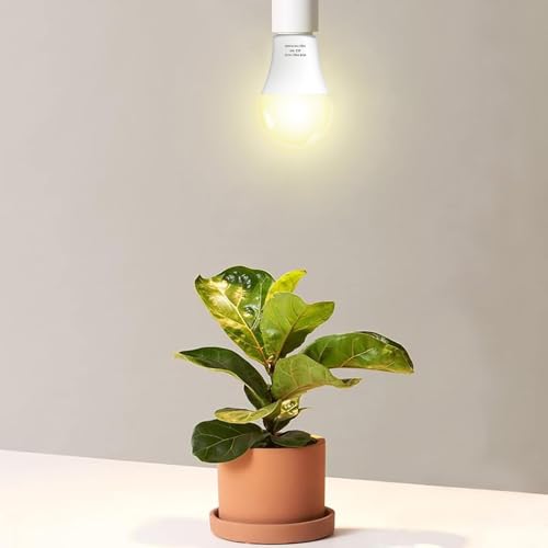 3 Pack Full Spectrum Grow Light Bulbs,A19 Grow Lights for Indoor Plants,Dimmable E26 9W Grow Bulb Replace up to 100W,Plant Lights for Indoor Growing,Flowers,Greenhouse,Indore - size: 3 Count (Pack of 1)