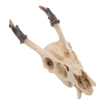 Toyvian Reptile Terrarium Skull Hideout Resin Decoration Medium Size Turtle Tank Habitat Lizard Amphibian Shelter Accessories