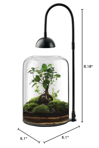 Glass Plant Terrarium with LED Grow Light, Adjustable Ventilation Desktop Indoor Planter for Venus Fly Trap, Moss & Succulents, 8.2" Borosilicate Mini Greenhouse for Home Office Decor