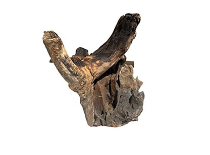 OMA Natural Driftwood Teak Wood Branch for Terrariums, Air Plants, Succulents, Reptile Decor - Branch Only