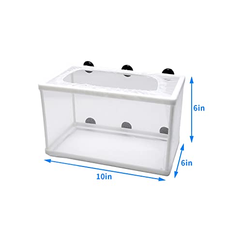 Anxingo 2 Pack Fish Tank Breeder Net,Fish Isolation Breeding Hatching Box, Plastic Frame Hatching Box Separation Net Breeding Box with Suction Cup for Aquarium
