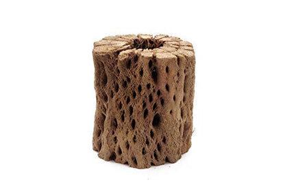 3, 6, 9, 12 Inch All Natural Teddy Bear Cholla Wood Extra Hollow Untreated Organic Aquarium Driftwood Decoration Chew Toy Shrimp Crab Cichlid Nano Tank Birds 1 or 5 Pieces (1 Piece, 3 inch) - size: 1 Piece, 3 inch