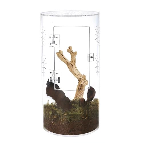 Tall Arboreal Tarantula Enclosure, 6x6x12in Acrylic Reptile Terrarium with Front Opening Door for Jumping Spiders Lizards Snails, 360 Visibility Vertical Climbing