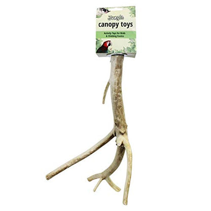 Multi-Branch Perch (Small) - Durable Natural Climbing Branch Perch Cage Accessory - Sugar Gliders, Squirrels, Prairie Dogs, Degus, Marmosets, Monkeys, Parrots, Birds, Rats, Reptiles, Amphibians
