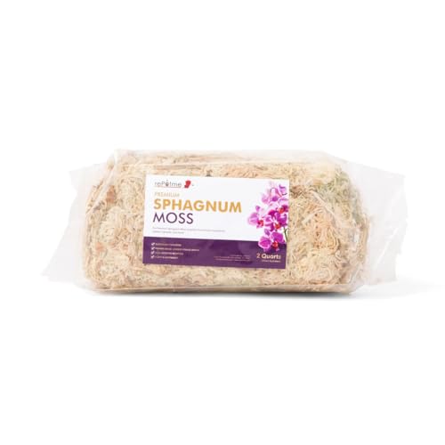 rePotme Premium Organic Sphagnum Moss, Orchid Moss - 2 Quarts (When Hydrated) - style: 2 Quarts