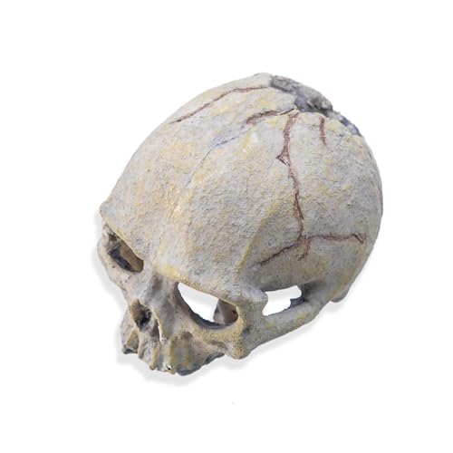 Skull Head Reptiles Hideouts Caves Resin Landscape Decoration Fishtanks Terrariums Accessories for Snake Bearded Dragon Resin Skull Head Decors for Aquariums