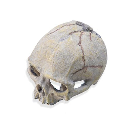 Skull Head Reptiles Hideouts Caves Resin Landscape Decoration Fishtanks Terrariums Accessories for Snake Bearded Dragon Resin Skull Head Decors for Aquariums