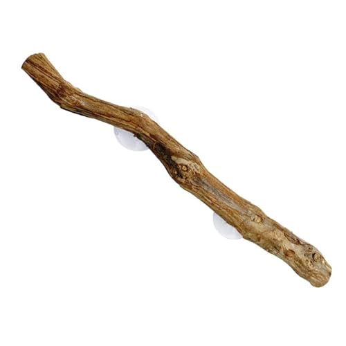 Reptile Climbing Stick – Flexible Snake Climbing Branch, Natural Tank Decor Vine | Terrarium Setup Branch Decoration, Habitat Enrichment for Tree Frogs, Lizards, Geckos, Chameleons, Iguanas