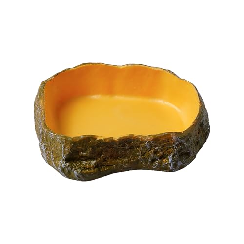 Reptile Feeding Dish, Water Dish Food Bowl,PVC Rock Reptile Feeding Terrarium Corner Bowls for Bearded Dragon Lizard Frog Gecko Tortoise Hermit Crab Snail,Crested Geckos Tank Accessories (G) - color: G