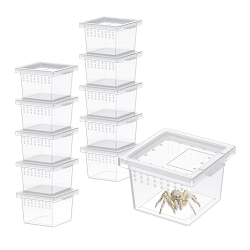 Pawfly 10 Pcs Mini Spider Terrarium Breeding Box, Transparent Plastic Jumping Spider Enclosure Cricket Keeper Tarantula Enclosure, Small Reptile Hatching Container for Scorpion Centipede Gecko Mantis - size: 10PCS