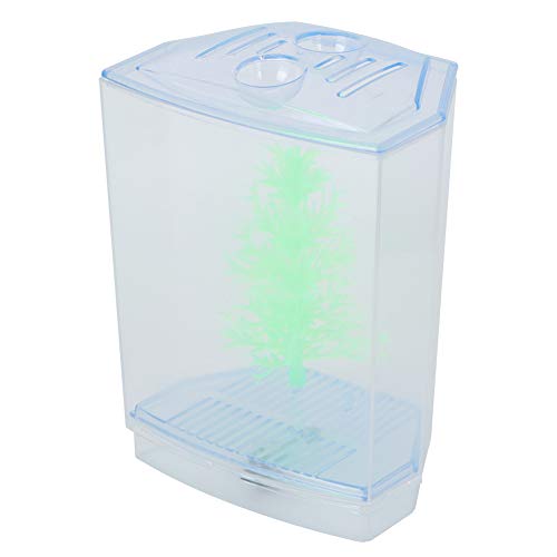 Mini Fish Tank Aquarium | Transparent Acrylic Breeding Box & Hatching Incubator | Isolate Sick Fish/Guard Fry/Grow Plants | with Sediment Groove & Ventilation Cover