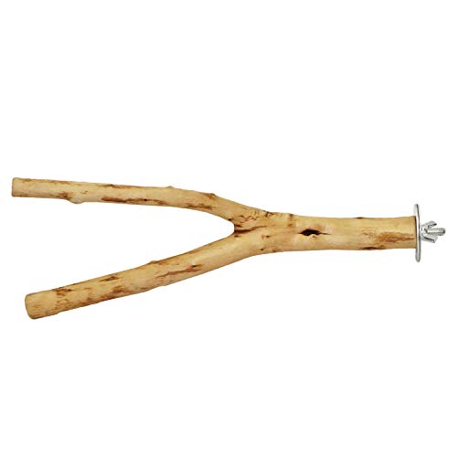 Natural Branch (Forked) - Durable Multi-Branch Perch Stand Cage Accessory - Sugar Gliders, Squirrels, Prairie Dogs, Degus, Marmosets, Monkeys, Parrots, Birds, Rats, Reptiles, Amphibians & Small Pets