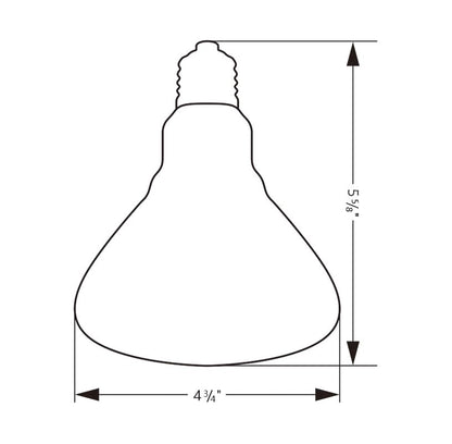 Sundew Mercury Vapor UVB Reptile Bulb 125W, PAR38 120V E26 – Coated Glass UVB Heat Lamp (125, Watts)