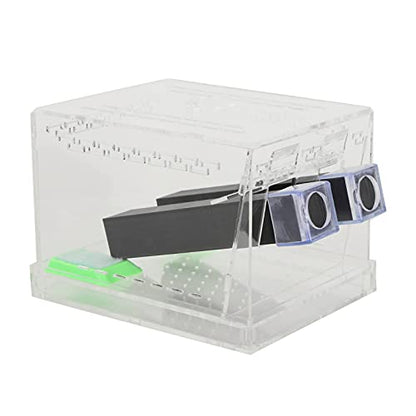Acrylic Cricket Feed Box with Observation Window for Reptile Terrarium Insect Care Kit, Non-Toxic Material for Easy Cleaning, Tank Box for - size: L