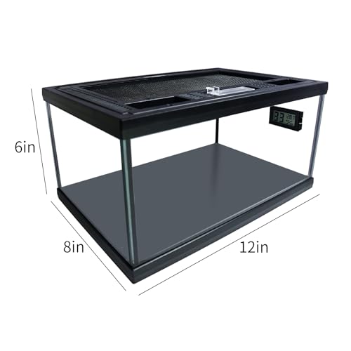 Reptile Glass Terrarium Tank 12"*8"*6",Small Cage Full View with Top Screen Ventilation Habitat Enclosure for Tarantula,Frog,Gecko,Insects,Spiders,Snakes,Hermit Crab,Turtle,Ball Python - size: 12*8*6inch