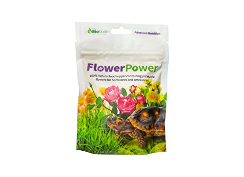 The Bio Dude Flower Power 20 Grams 100% Natural Food Topper for Bearded Dragons, Tortoises and More!