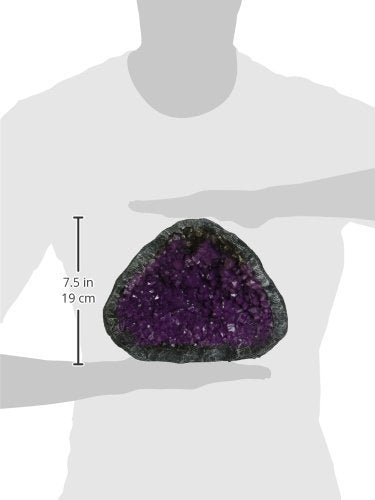 Blue Ribbon EE-1136 Skull Geode Stone Exotic Environments Aquarium Ornament, Purple, 6.5 inch (EE-1130)