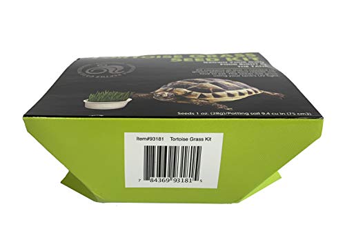 Komodo Grow Your Own Tortoise Grass