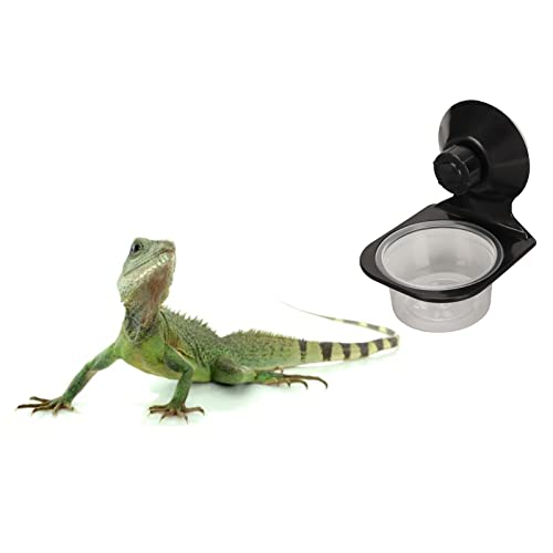 Zerodis Reptile Food Water Feeding Bowl, Sturdy Reptile Food Water Breeding Dispenser Transparent ABS Hanging with Suction Cup for Garden for Farm (Single Bowl)