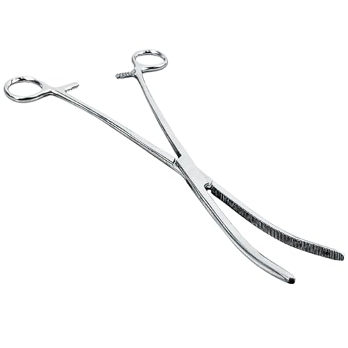 ADROIT 12" Curved Extra Long Hemostat Forceps | Stainless Steel Design | Extra Long with Small Teeth On Jaws | Locking Mechanism Built in | Great for Sewing, Fishing, Jewelry Making, Multi-Use - size: 12", style: Curved