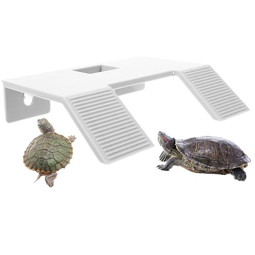 Turtle Resting Basking Platform, Turtles Ramp Tortoise Climbing Double Ladder Turtle Resting Terrace for Frog Terrapin Reptile Amphibian Habitat Hideouts (White, Small) - color: White, size: Small