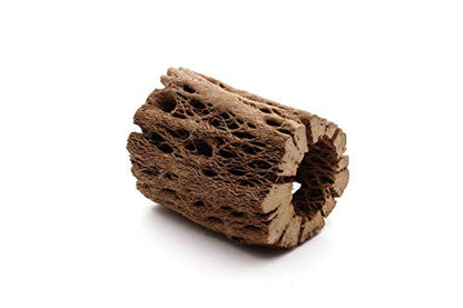 3, 6, 9, 12 Inch All Natural Teddy Bear Cholla Wood Extra Hollow Untreated Organic Aquarium Driftwood Decoration Chew Toy Shrimp Crab Cichlid Nano Tank Birds 1 or 5 Pieces (1 Piece, 3 inch) - size: 1 Piece, 3 inch