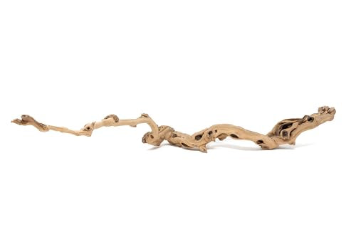 Natural Grapewood Branches – Vivarium Décor for Reptiles, Tarantulas & Spiders – Unique Terrarium Hardscape for Bioactive Tanks, Vivaria & Exotic Plant Mounts (Medium) - style: Medium