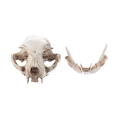 Halloween Resin Cat Skull Skeleton Model Figurine Animal Scary Skeleton Props for Home Décor Aquarium Fish Tank Landscape Collectible Teaching Prop
