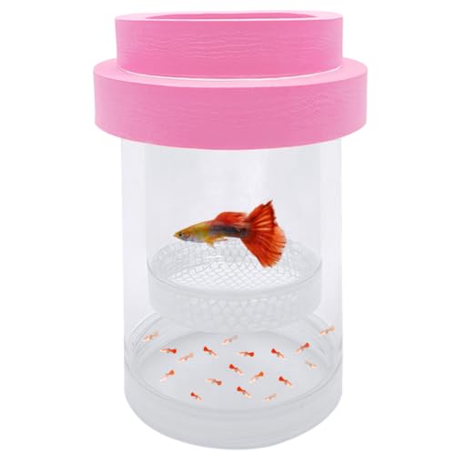 Floating Fish Breeding Isolation Box for Aquarium Tank Plastic Mesh Hatchery Incubator Breeder Box for Baby Fish Betta Shrimp Clownfish Guppy (Pink, Medium) - color: Pink, size: Medium