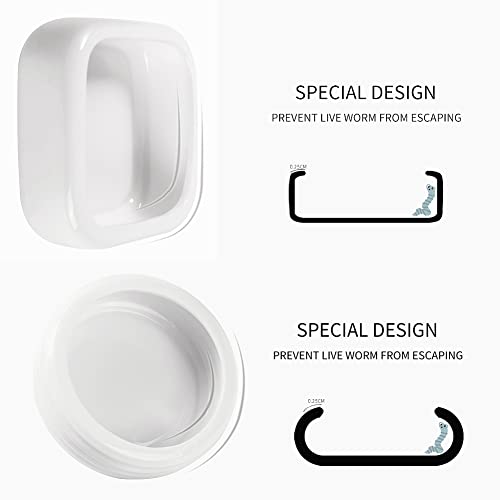 Ceramic Reptile Food Bowls, Reptile Water Food Dish (White, Small 2-Pack)