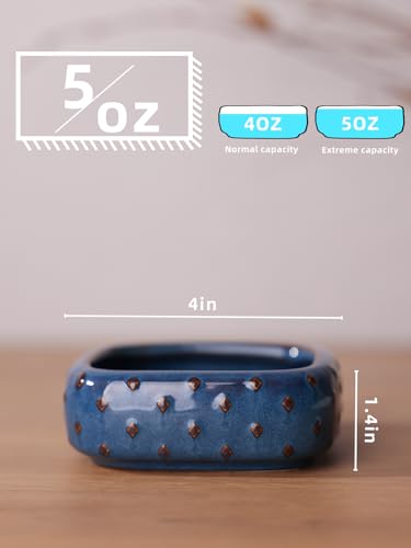 2-Pcs Ceramic Reptile Food Bowl, Mini Reptile Feeder (Farmhouse Blue) - color: Farmhouse Blue