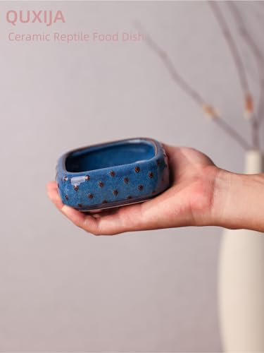 2-Pcs Ceramic Reptile Food Bowl, Mini Reptile Feeder (Farmhouse Blue) - color: Farmhouse Blue