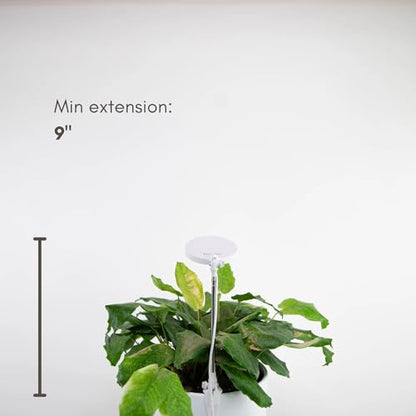 Mossify LED Grow Lights for Indoor Plants Full Spectrum – Adjustable Height (8”-28”), Dimmable Brightness, Programmable Timer, Long Lifespan – Ideal Grow Lights for Healthy Plant & Houseplants (White) - color: White