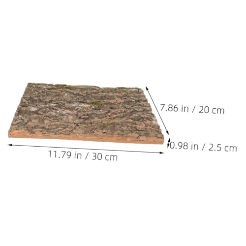 Terrarium Background Natural Tree Bark Backdrop for Reptile Tanks Aquariums Cork Bark Climbing Mat Delicate Habitat Decoration Creates Lifelike Environment for Reptiles