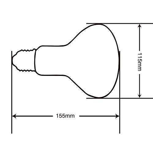 LUCKY HERP Reptile UVA UVB Mercury Vapor Bulb Lamp,Screw Thread,160 Watt (Coated) - color: Coated
