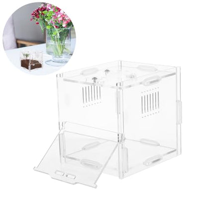 Small Acrylic Reptile Breeding Box with Ventilation Animal Habitat Cage for Spiders Jumping Spiders and Small Amphibians Terrarium for Indoor Pet Keeping