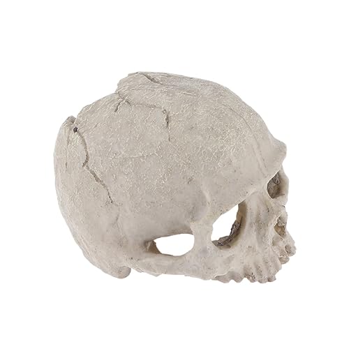 DOITOOL 2pcs Fish Tank Skull Decorations Resin Skull Ornaments Aquarium Landscaping Accessories Skull Props for Reptiles Habitat