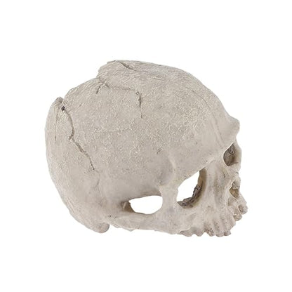 DOITOOL 2pcs Fish Tank Skull Decorations Resin Skull Ornaments Aquarium Landscaping Accessories Skull Props for Reptiles Habitat